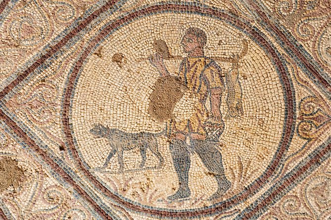 Coimbra Private Conimbriga Ruins and Museum Tour