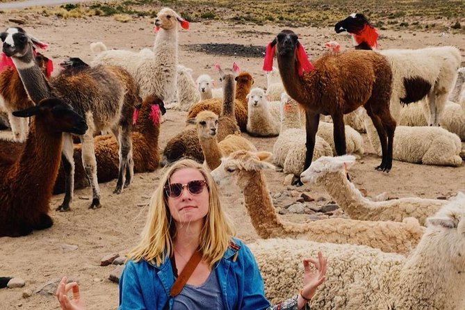 Colca Canyon Excursion One Day - Exploring Colca Canyons Wonders