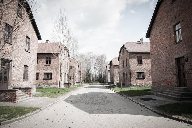 Combined: Auschwitz Birkenau and Salt Mine Private Chauffeur From Krakow - Flexible and Efficient Itinerary