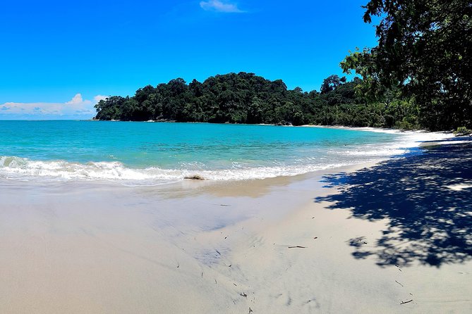 Combo 1: Jungle Night Tour & Day Tour Manuel Antonio