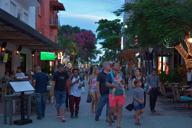 Combo Tour: Tulum, Cenote and 5th Avenue in Playa Del Carmen From Cancun