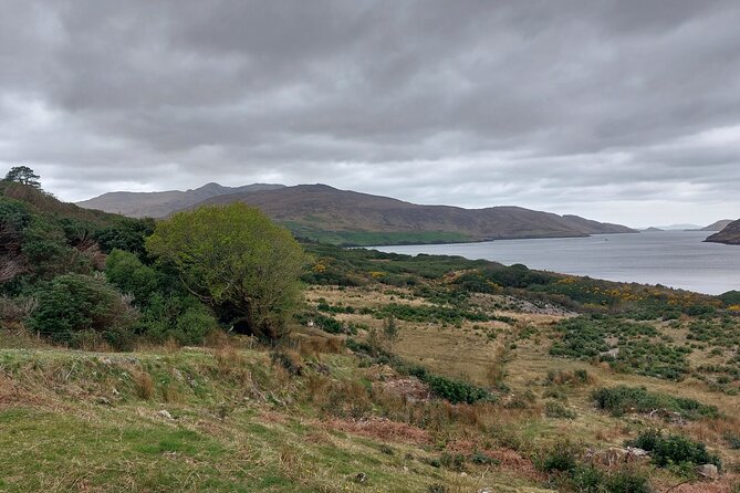 Connemara, Kylemore Abbey, Sky Road Private Tour From Galway