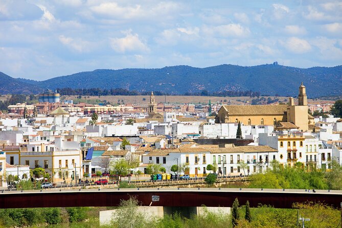 Cordoba Private Custom Walking Tour With A Guide (Private Tour)