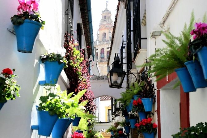 Cordoba With Mosque-Cathedral Private Tour From Granada
