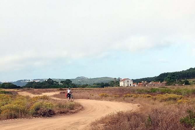 Costa Vicentina Week-Long Bike Tour From Lisbon  – Porto