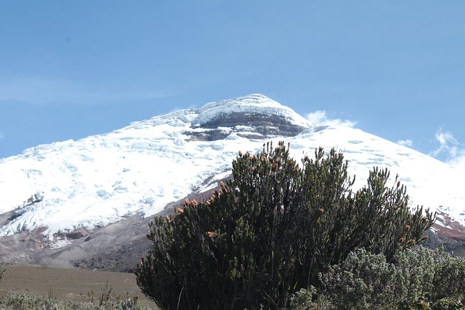 Cotopaxi Volcano (Private Day Trip From Quito)