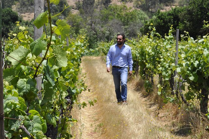 Countryside Tour Through Maipo Valley