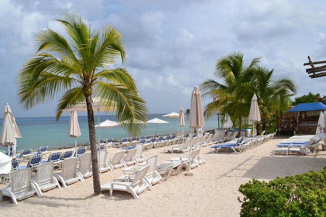 Cozumel Shore Excursion: Playa Uvas Private Beach Pass