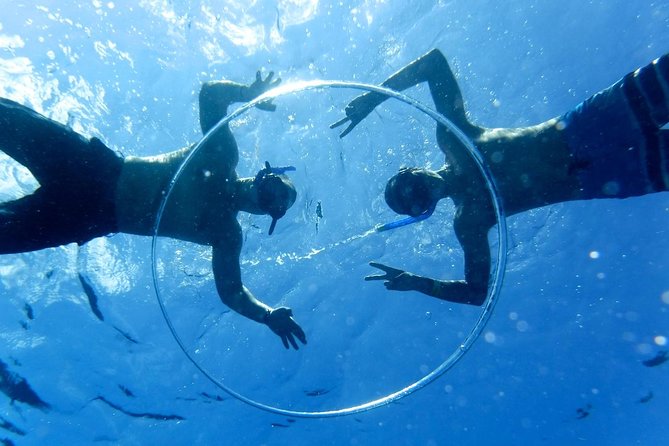 Cozumel Snorkel Tour: Coral Reefs, El Cielo & Beach Break®