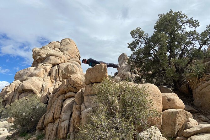 CreativeSoul ScavengerHunt(Hidden Valley,Joshua Tree)Remote Host