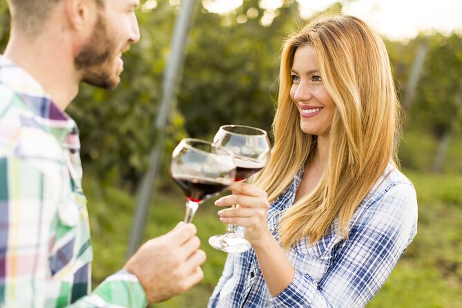 Cretan Wines & Olive Oil Tour – the Treasures of Crete