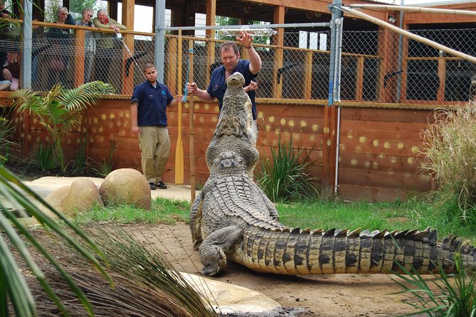 Crocodiles Park Ticket With Transfers