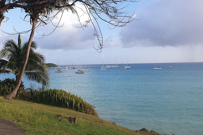 *Cruise Stopover* – Tropical Forest – Sainte-Anne Beach