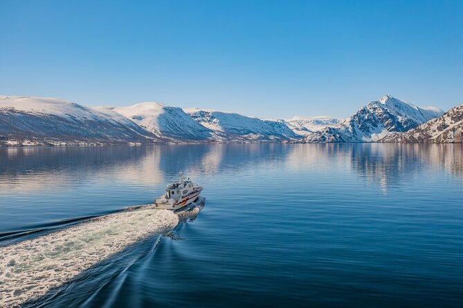 Cruise to the Fishing Village Øksfjord Including Lunch - Overview of the Cruise Itinerary