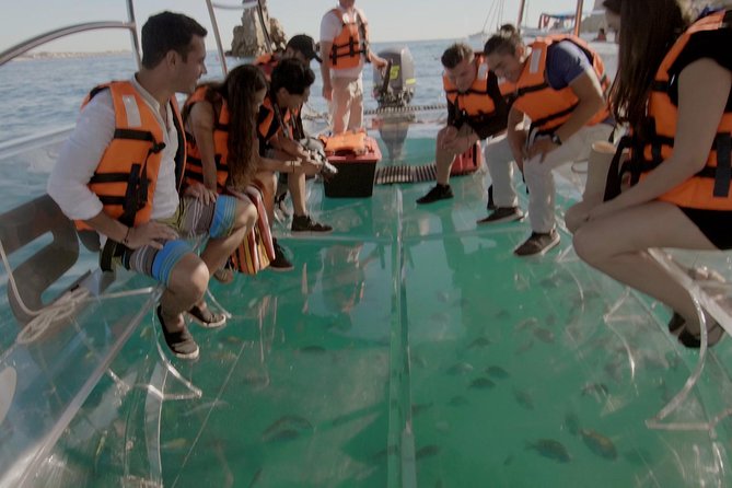 Crystal Clear Boat Tour in Los Cabos