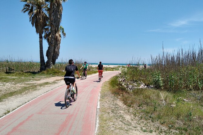 Cycle Albufera Lake, Rice Fields Paella and Boat Ride With Beach