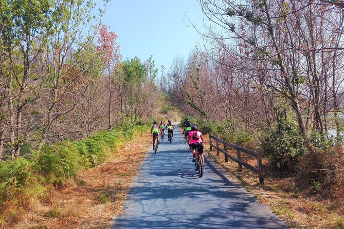 Cycling Ecopista Do Dão One Way, Full-Day From Coimbra - Overview