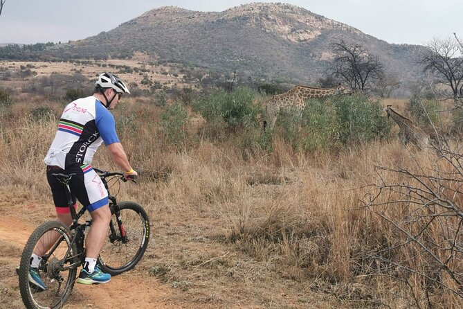Cycling The Cradle of Humankind in Game Reserve - Experience Overview