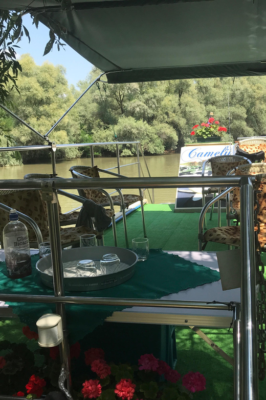 6 Best Tours In Tulcea