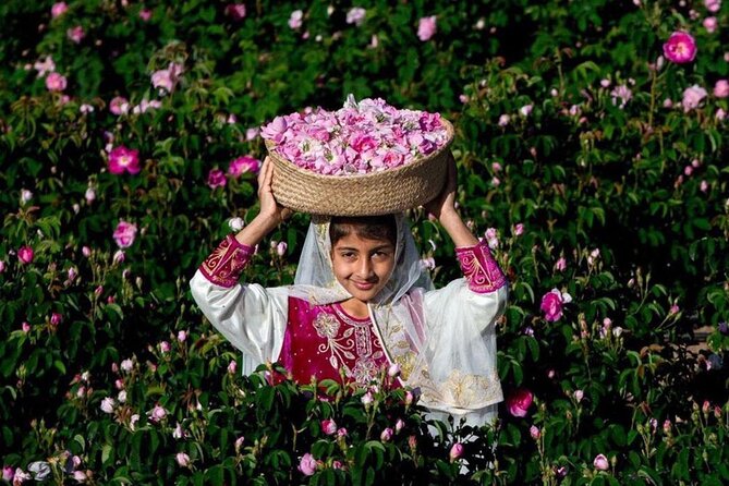 Damascus Roses – Discover the Secrets of Al Jabal Al Akhdhar
