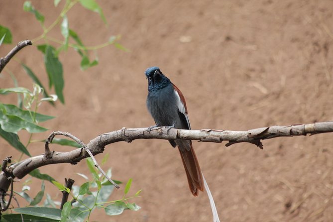 Day Hike Around Lalibela