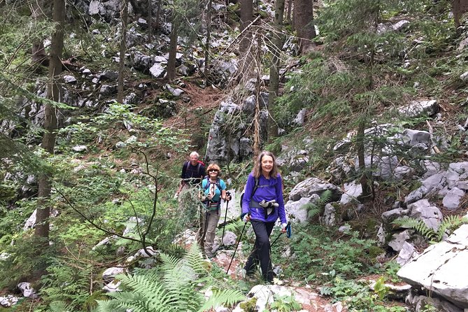 Day Hike in National Park Risnjak From Zagreb