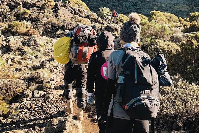 Day Hike to Mount Kilimanjaro (Mandara Hut)