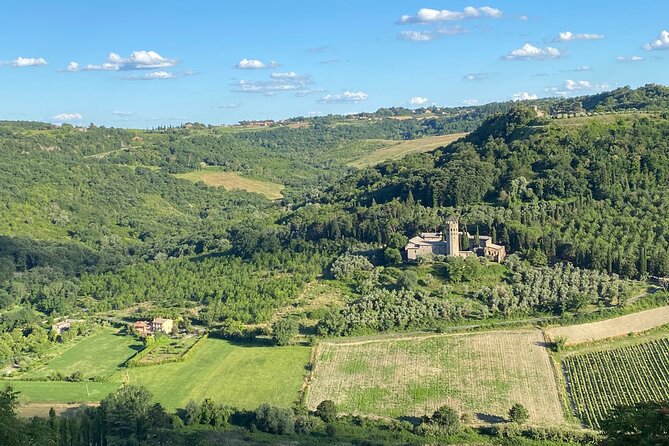 Day of Tastings in the Land of Super Tuscans From Lucca