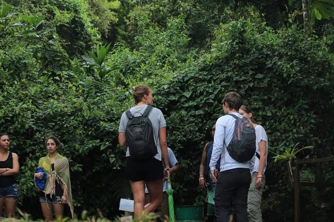 Day Pass – Ecological Park Arenal Volcano + Hot Springs