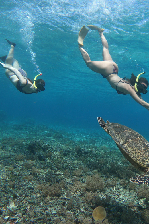 Day Tour Gili Trawangan, Gili Meno, Gili Air (Depart Lombok)