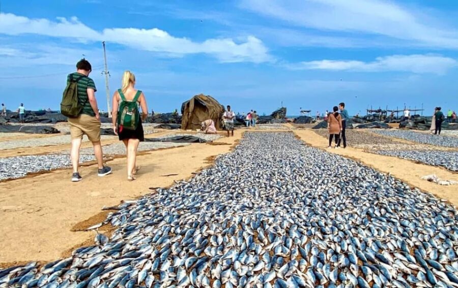 25 Best Tours In Negombo