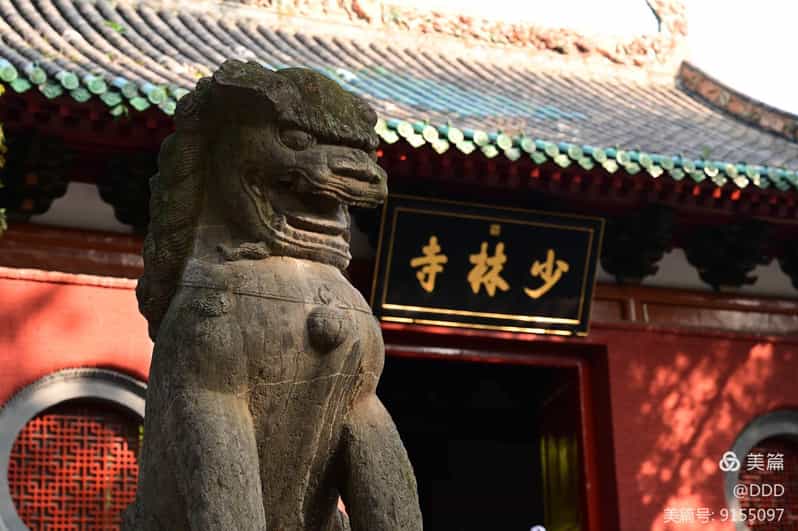 Day Tour of Luoyang Shaolin Temple and Longmen Grottoes