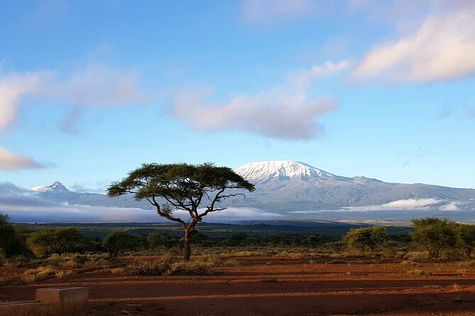 Day Tour to Amboseli National Park From Nairobi