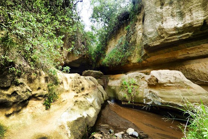 Day Trip – Hells Gate and Lake Naivasha From Nairobi