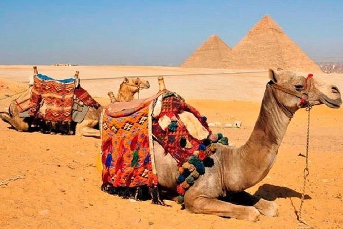 Day Trip to Cairo From Hurghada With Domestic Flight Included