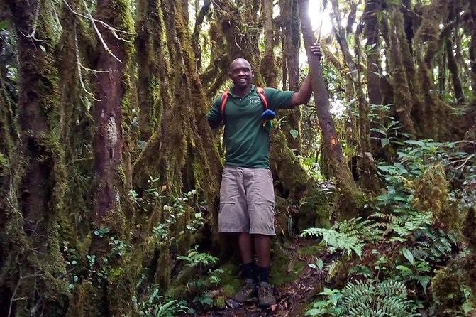 Day Trip To Lupanga Peak