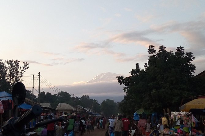 Day Trip to Materuni Waterfalls and Coffee Tour