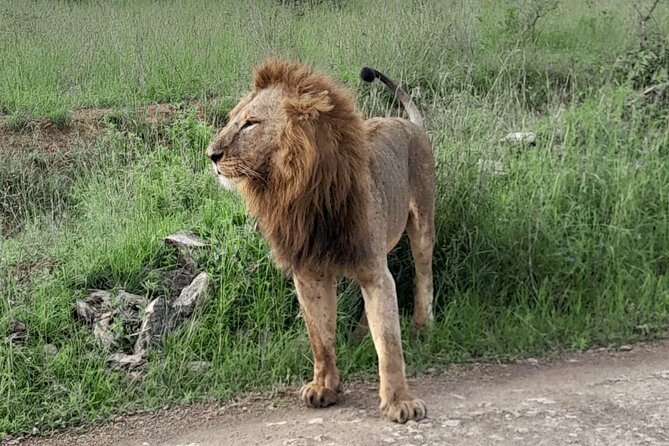 Day Trip To Ol Pejeta Conservancy Rhino And Chimpanzee Sanctuary