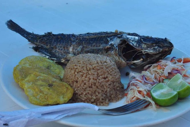 Day Trip to Playa Blanca Barú by Land
