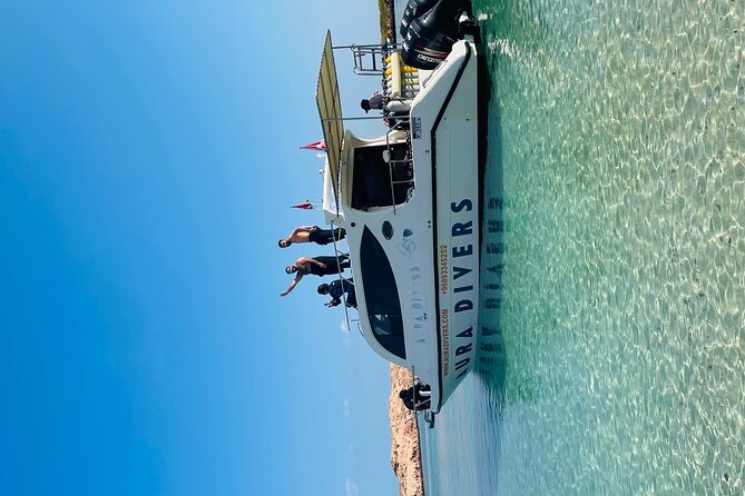 Daymaniyat Islands Snorkeling 2 Different Snorkeling Sites and Lunch Included - Overview and Experience