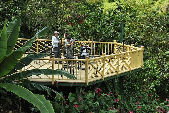Deluxe Nature Expedition 8 Days