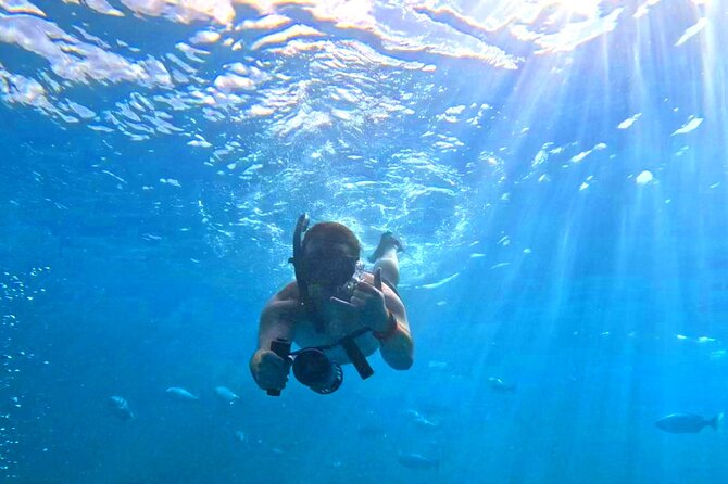 Deluxe Turtle Snorkeling Escapade at Waikiki