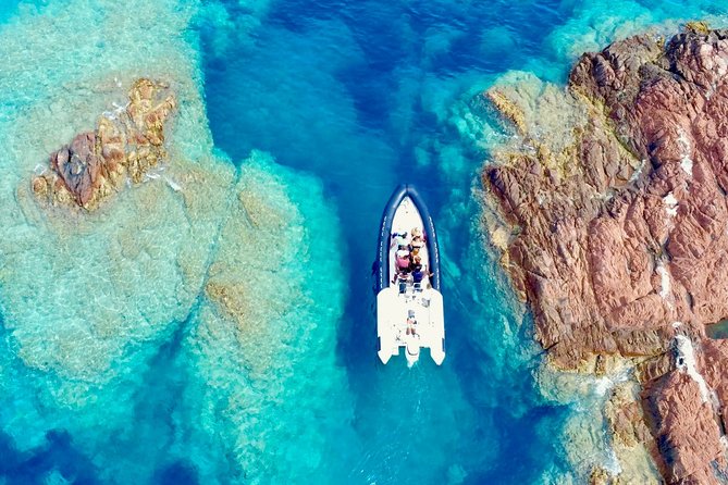 Depart Saint Raphaël: Meet the Dolphins