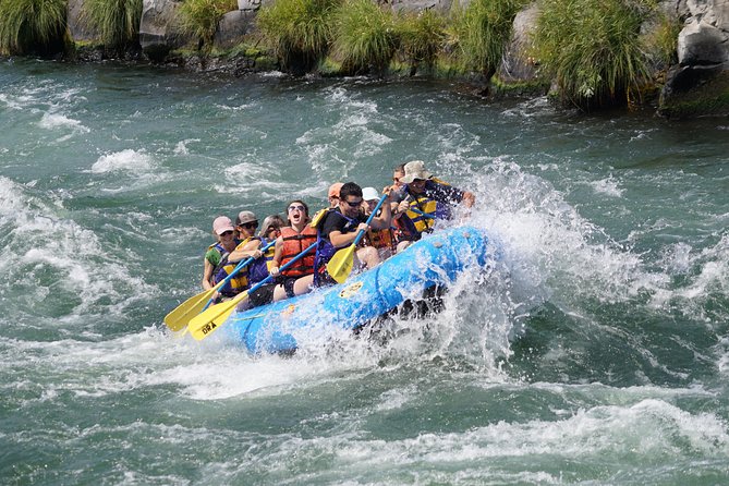 Deschutes River Half-Day Guided Trip