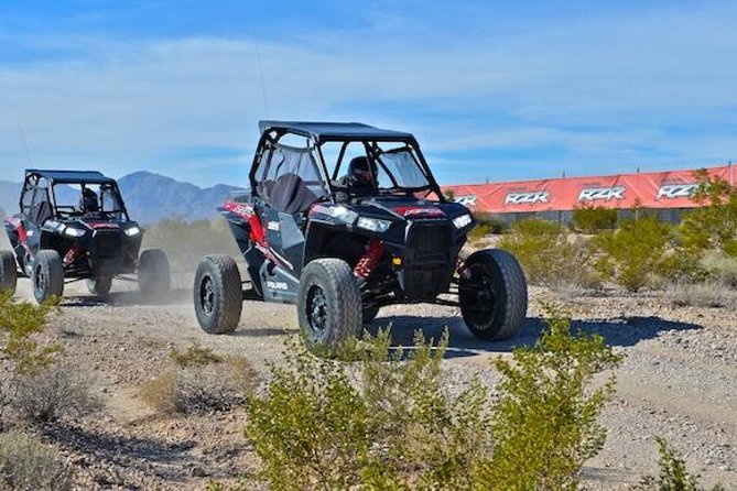 Desert RZR Adventure With Lunch at the Historic Pioneer Saloon - Exploring the Mojave Desert