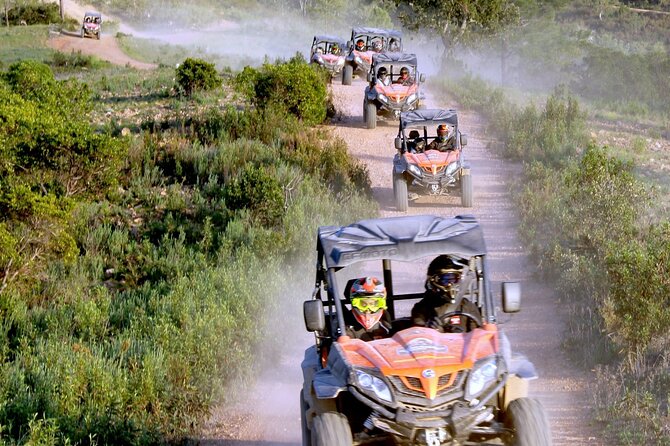 Dirt & Dust Buggy Tour
