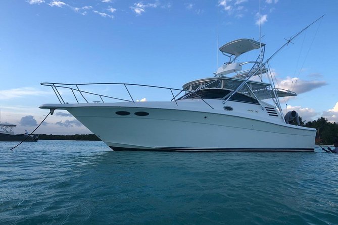 Discover Catalina Island In Private Yacht