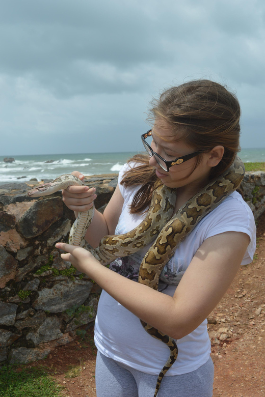 Discover Ceylon + Horton Plains 6 Days Tour