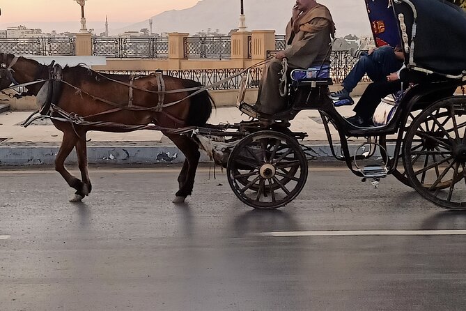 Discover Luxor City Tour by Horse Carriage - Highlights of the Tour