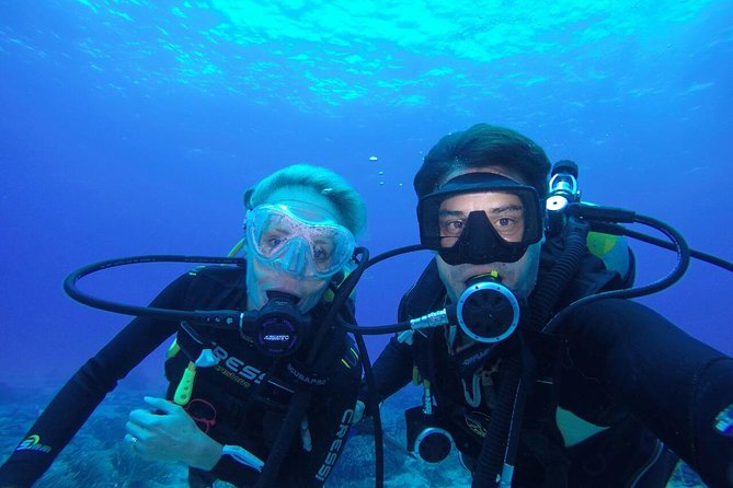 Discover Scuba Diving in Tulum - Overview and Ratings
